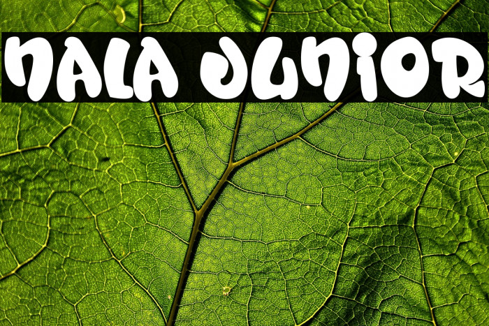 Nala Junior Example 3