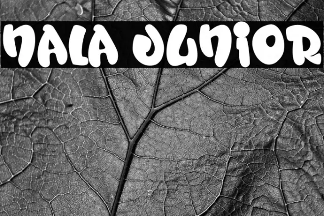 Nala Junior Example 3