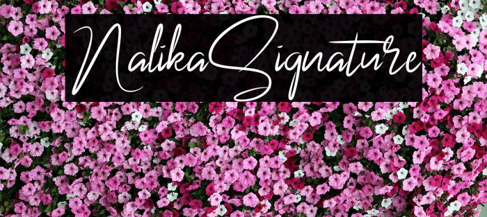 NalikaSignature Font examples