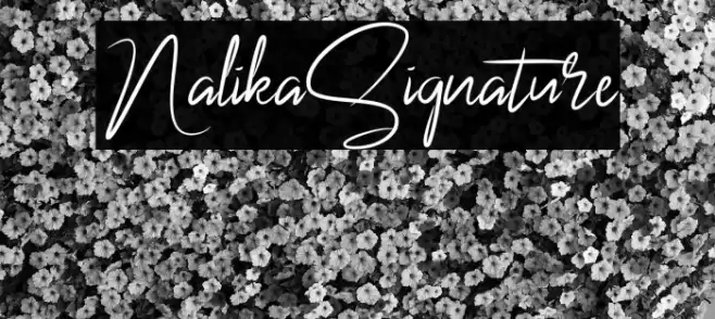 NalikaSignature Example 1