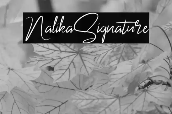 NalikaSignature Font examples