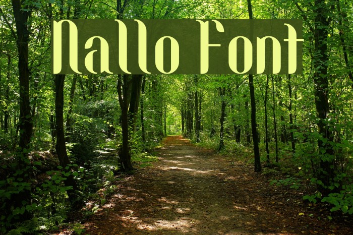 Nallo Font examples