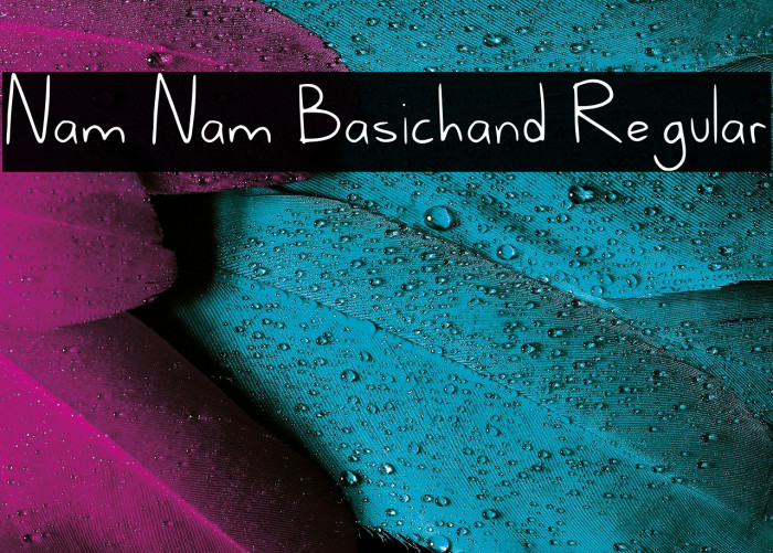 Nam Nam Basichand Regular Example 1