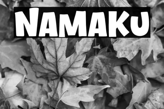 Namaku Example 2