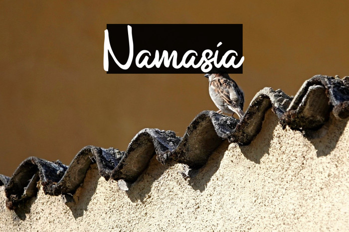 Namasia Example 3