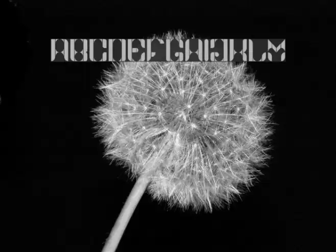 Namaskar Regular Font examples