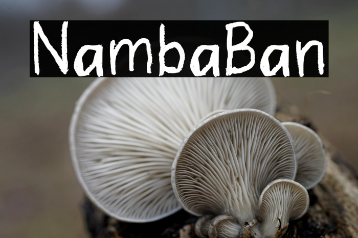 Nambal Ban Example 3