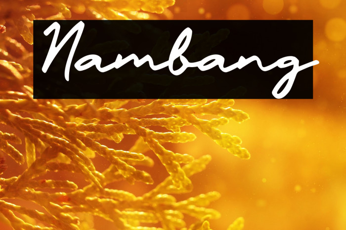 Nambang Example 2