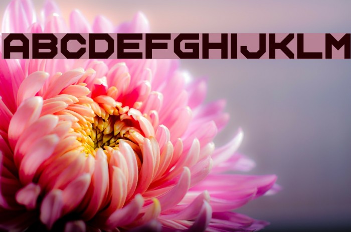 Name Smile Example 1