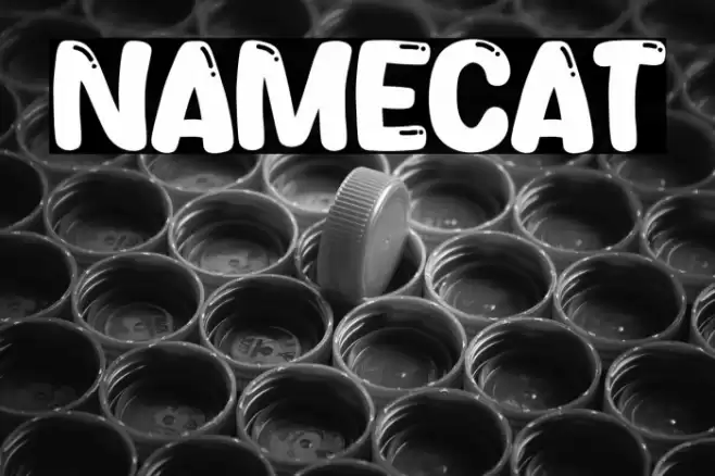 Namecat Font examples