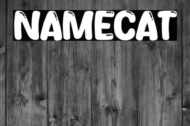 Namecat Font examples