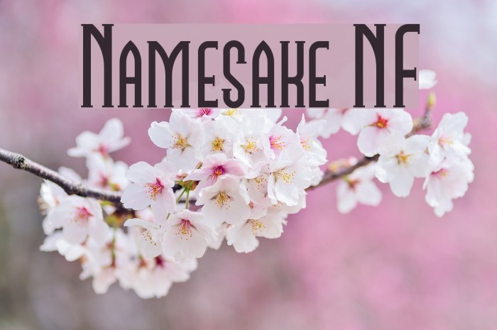 Namesake NF Шрифта examples