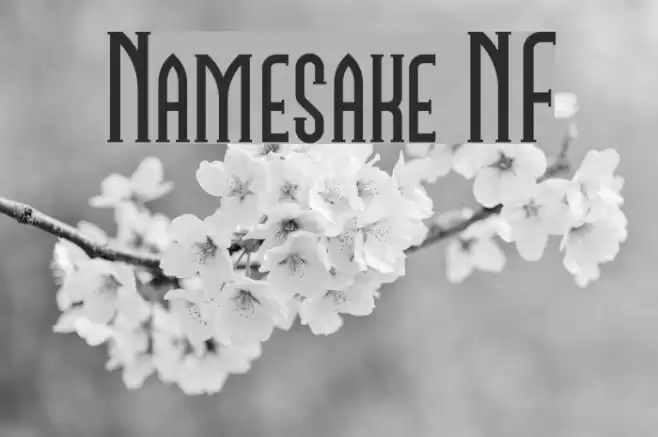 Namesake NF Шрифта examples