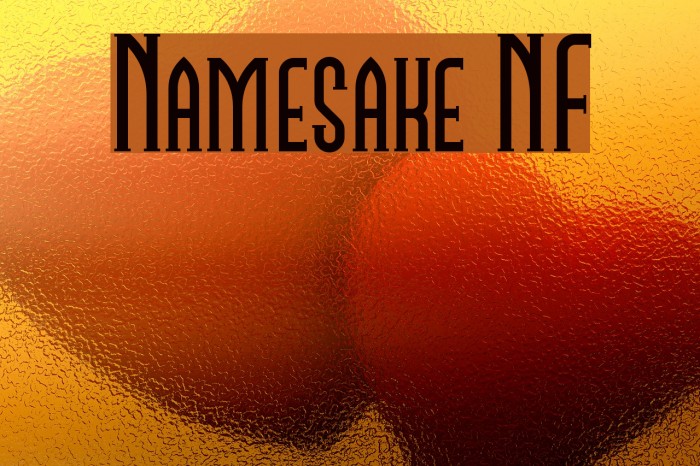 Namesake NF Шрифта examples