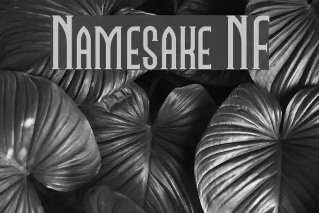 Namesake NF Шрифта examples