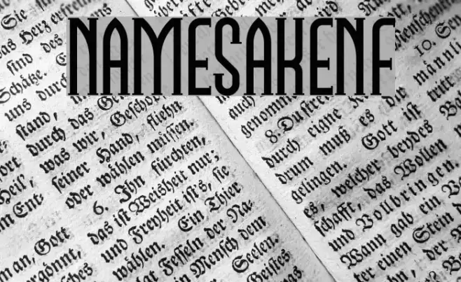 NamesakeNF Example 1
