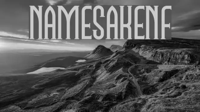 NamesakeNF Example 3