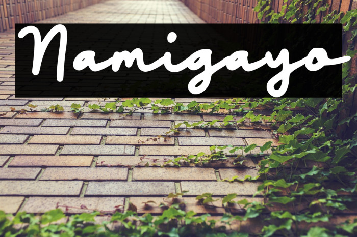 Namigayo Example 1