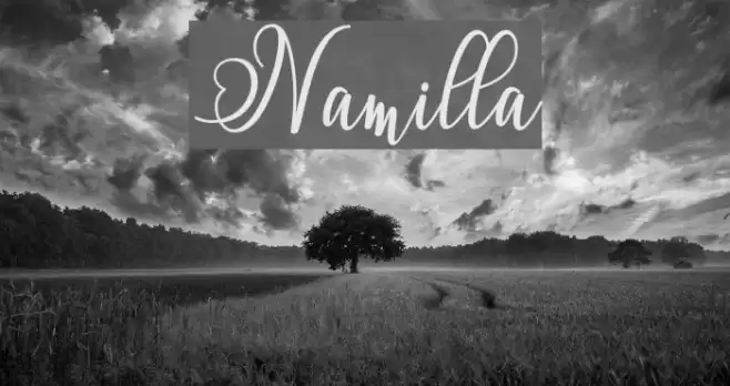 Namilla Font examples