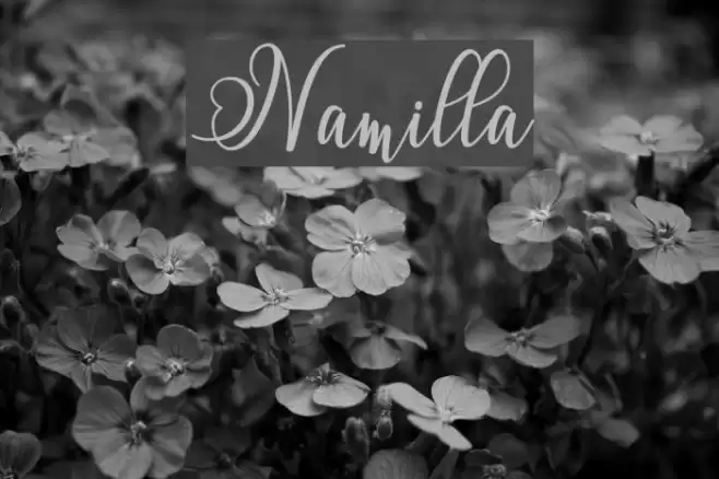 Namilla Font examples