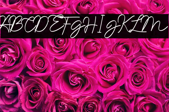 Namina Sucilia Example 3