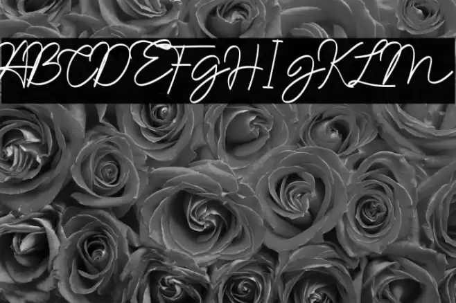 Namina Sucilia Font examples