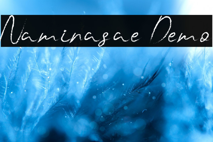 Naminasae Demo Example 1