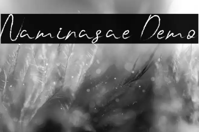 Naminasae Demo Example 1