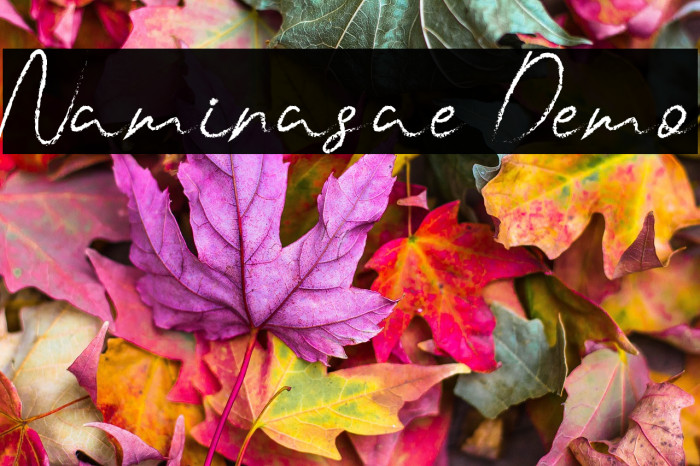 Naminasae Demo Example 2