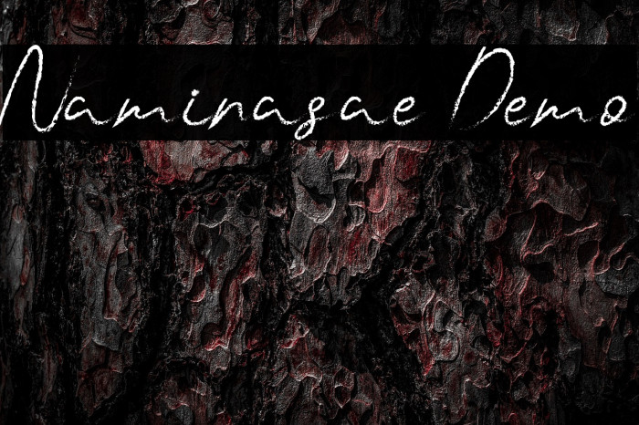 Naminasae Demo Example 3