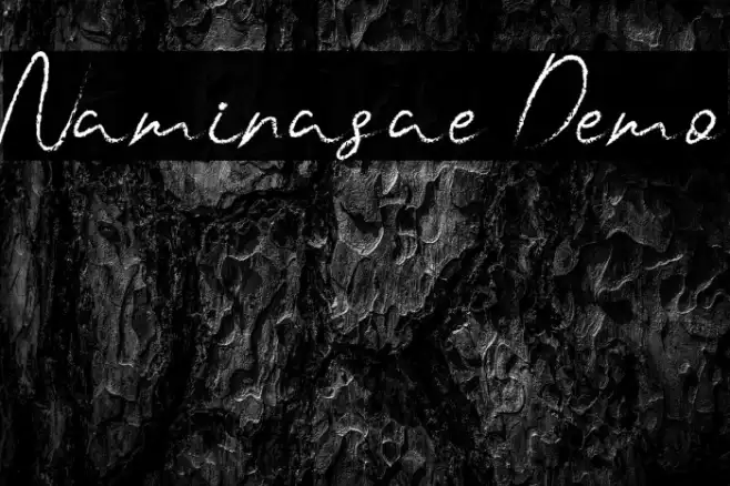 Naminasae Demo Example 3