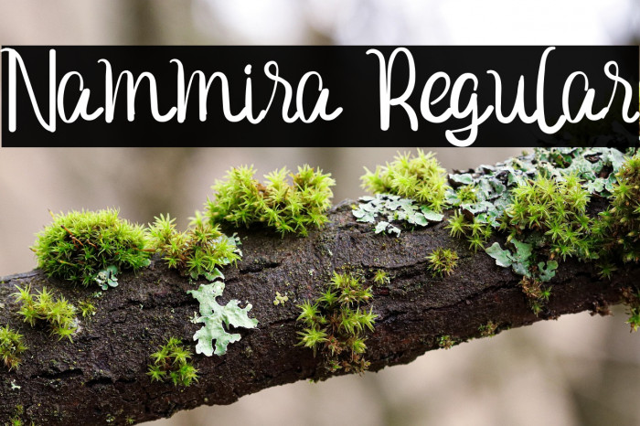 Nammira Regular Example 2