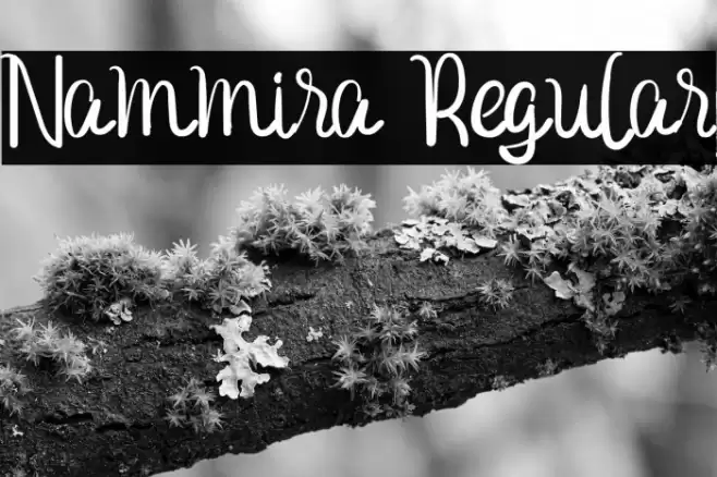 Nammira Regular Font examples
