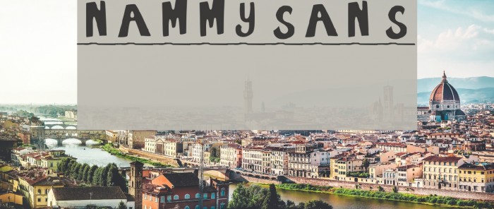 NammySans Font examples