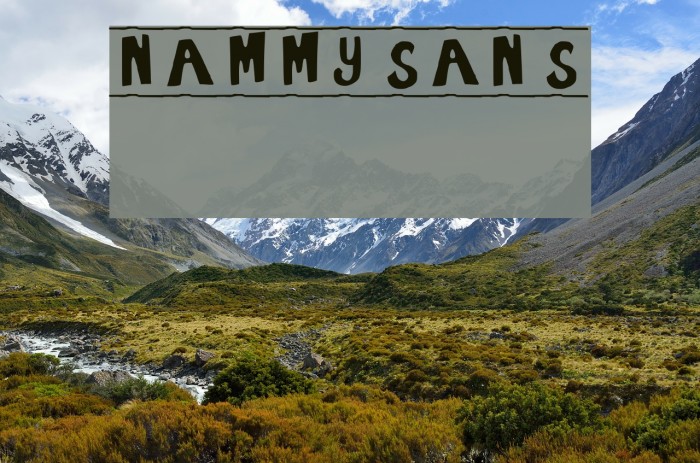 NammySans Font examples
