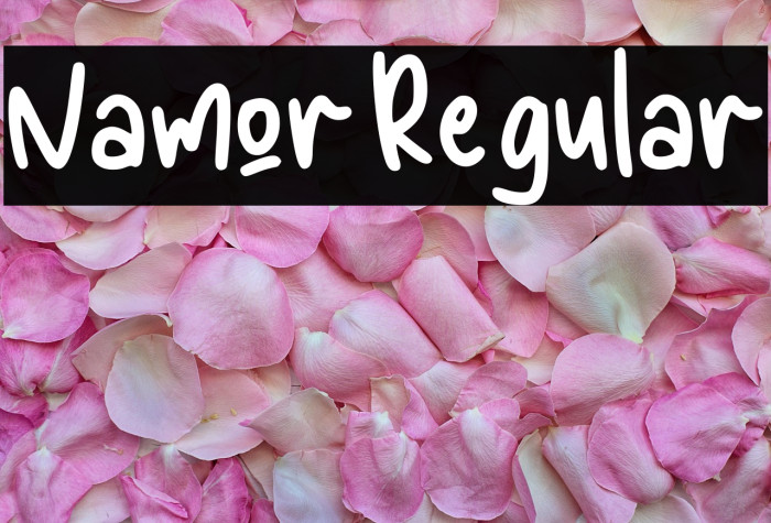 Namor Regular Example 3