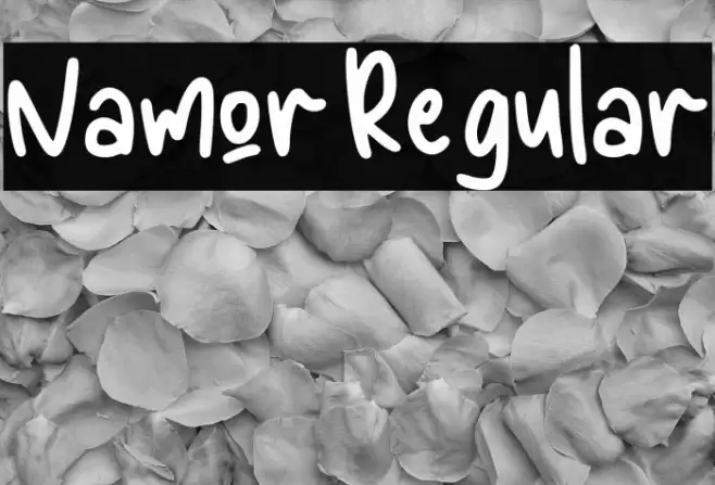 Namor Regular Font examples