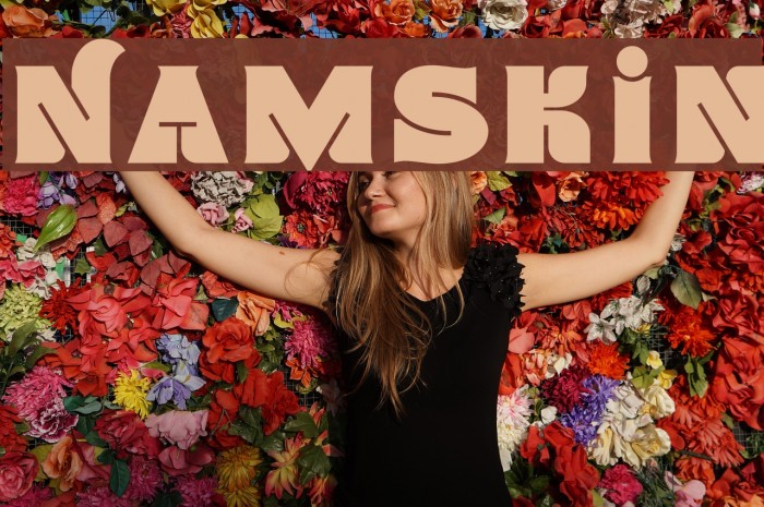 Namskin Font examples