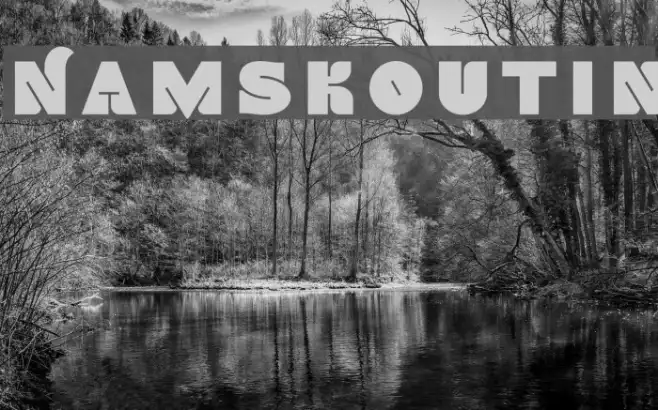 NamskoutIn Example 1