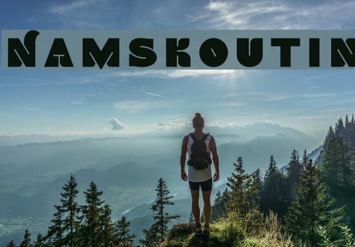 NamskoutIn Font examples
