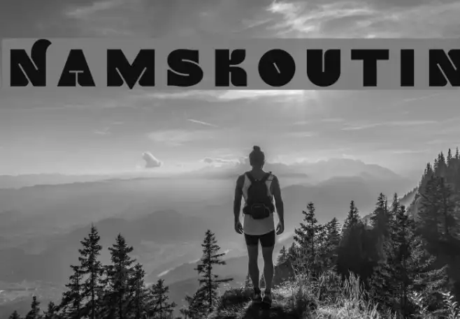 NamskoutIn Example 3