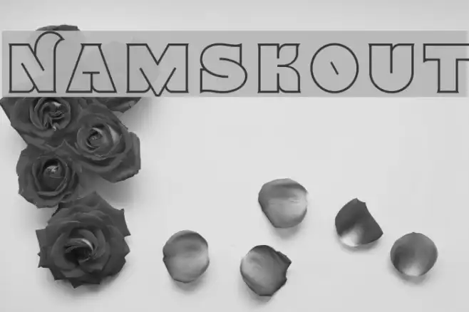 Namskout Example 1