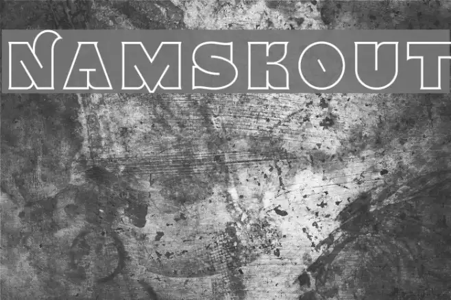 Namskout Example 2