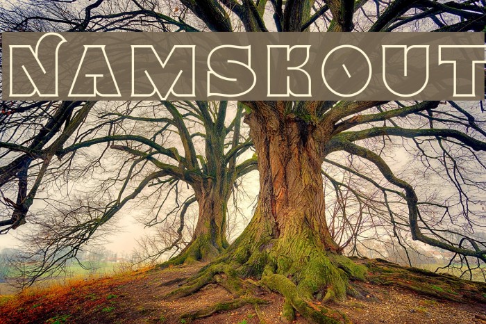 Namskout Font examples