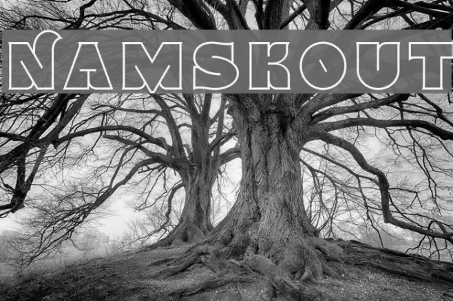 Namskout Example 3