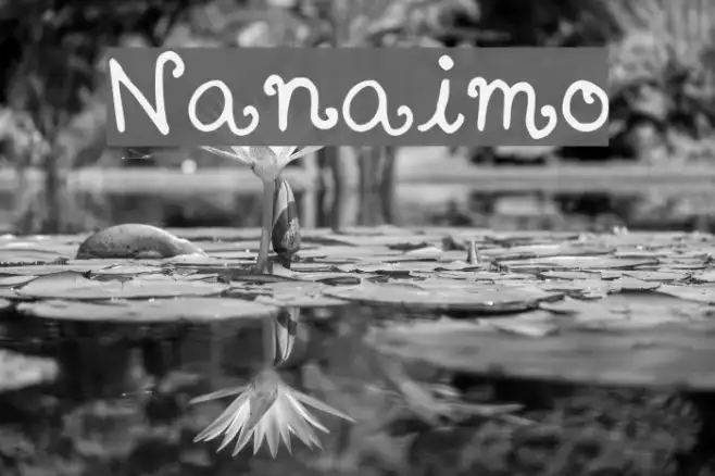 Nanaimo Example 1