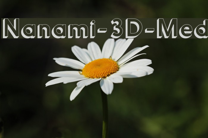 Nanami-3D-Med Font examples