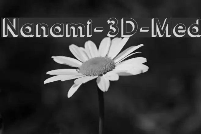 Nanami-3D-Med Example 2