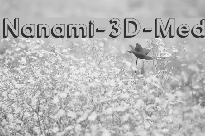 Nanami-3D-Med Example 3