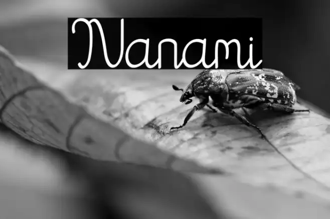 Nanami Example 1